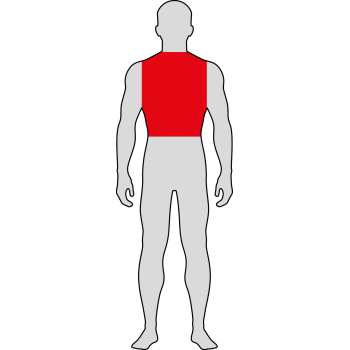 Imobilizace a fixace - TRUP